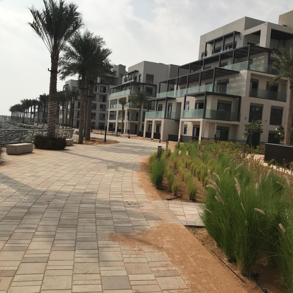Apartment buildings with glass balconies and palm trees