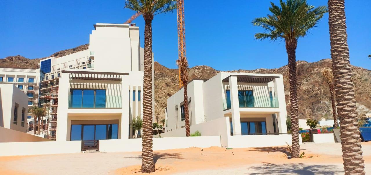 Beach villas between the palm trees