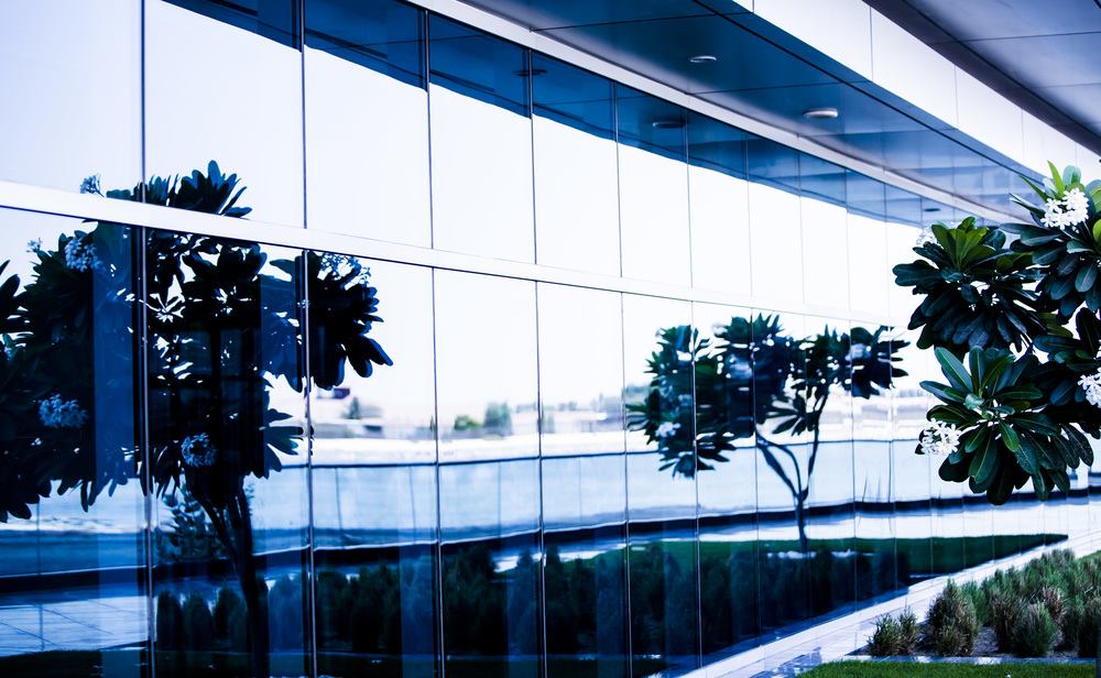 Trees reflected in a glass wall